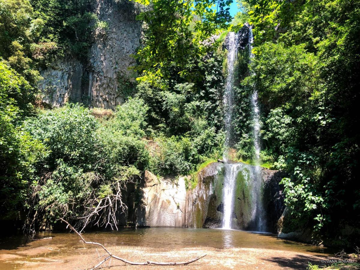 Dream House... Cerveteri! Apartment