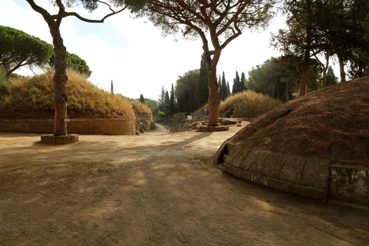 Dream House... Cerveteri! Apartment *